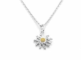 TALISMAN JEWELLERY Colgante con Flor eguzkilore de Plata y chapado Oro, -Cadena regalo incluida-(20 mm)