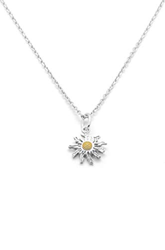 TALISMAN JEWELLERY Colgante con Flor eguzkilore de Plata y chapado Oro, -Cadena regalo incluida-(20 mm)