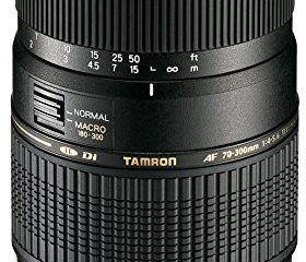 Tamron A17E - Objetivo para Canon (70-300 mm, f/4-5.6, Macro, AF, 62 mm), color negro
