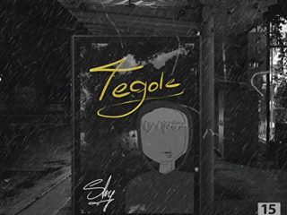 Tegole