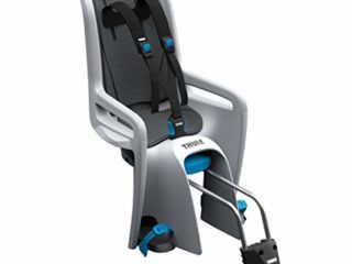 Thule Ride Along - Silla niño para bicicleta, color gris claro, V16