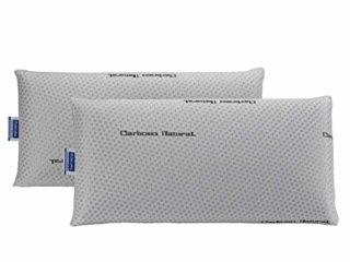 Todocama - Almohada viscoelástica Carbono Natural, compuesta por un núcleo 100% viscoelástico con partículas de carbono activo que disminuyen los malos olores y humedades. (Pack de 2 unidades - 75 cm)