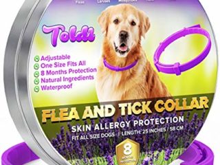 Toldi Tratamiento de pulgas para Perros, Collar antiparasitario Perros, Collar antipulgas Perros Ajustable, 8 Meses de protección garrapatas para Cachorros, Collar Repelente de piojos y garrapatas