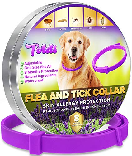 Toldi Tratamiento de pulgas para Perros, Collar antiparasitario Perros, Collar antipulgas Perros Ajustable, 8 Meses de protección garrapatas para Cachorros, Collar Repelente de piojos y garrapatas