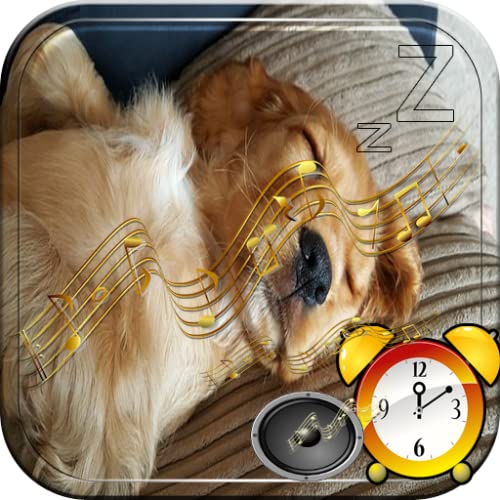 Tonos De Alarmas Despertador