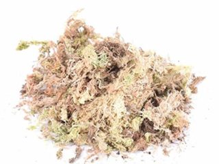 TOPofly El Agua Seca del Musgo de Musgo Sphagnum seco 12L Musgo Jardín Hidratación Nutrición Fertilizante orgánico para orquídea Phalaenopsis Musgo Sphagnum