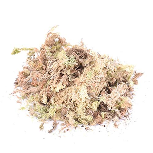 TOPofly El Agua Seca del Musgo de Musgo Sphagnum seco 12L Musgo Jardín Hidratación Nutrición Fertilizante orgánico para orquídea Phalaenopsis Musgo Sphagnum