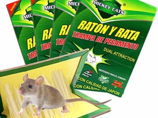 Trampa de ratón profesional de Zoore, adhesivo de ratón fácil de usar, paquete de 4