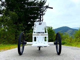 Triciclo Eléctrico para Adultos Bicicleta de 3 Ruedas con Motor Central 250w y batería de Litio