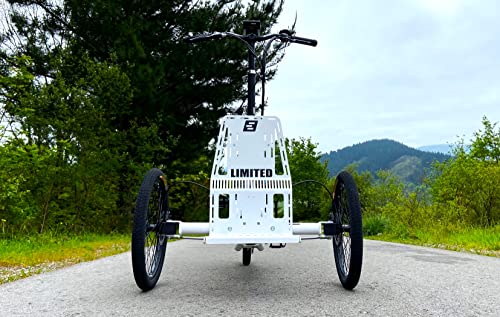Triciclo Eléctrico para Adultos Bicicleta de 3 Ruedas con Motor Central 250w y batería de Litio