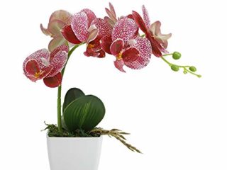 True Holiday - Orquídea artificial con jarrón, diseño de flores falsas decorativas para fiestas de boda