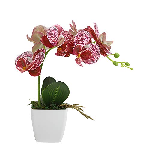 True Holiday - Orquídea artificial con jarrón, diseño de flores falsas decorativas para fiestas de boda