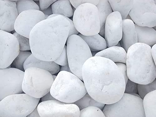 Vegara Stone Piedra Jardín Decoración Canto Rodado Blanco Puro 2-4 cm (10)
