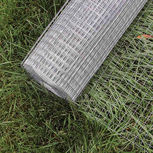 WilTec Malla Alambre metálica gallinero Cierre metálico galvanizado Rollo 1mx25m mallado 19x19mm Jardín