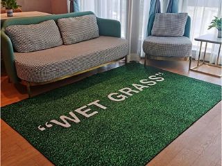XIANGSOPY Wet Grass Rug Carpet Grey Rug Living Room Decoration Carpet Bedroom Bedside Bay Window Area Rugs Sofa Floor Mat 120X160Cm