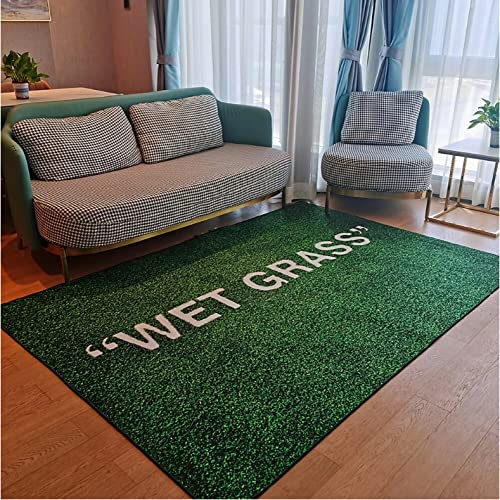 XIANGSOPY Wet Grass Rug Carpet Grey Rug Living Room Decoration Carpet Bedroom Bedside Bay Window Area Rugs Sofa Floor Mat 120X160Cm