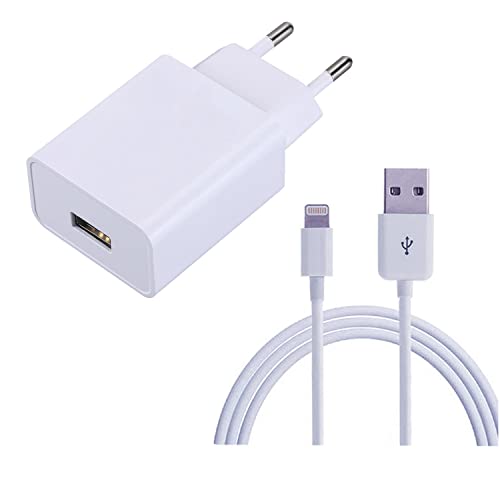 ZLONXUN Cargador 12W y Cable Compatible con iPad Air 2/1, iPad Mini 2/3/4/1,iPhone 6/7/8/Plus/5S